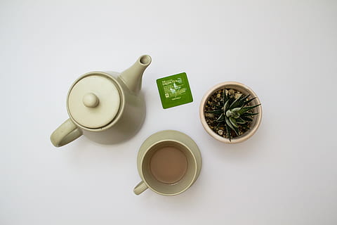 绿茶品牌 logo带个竹