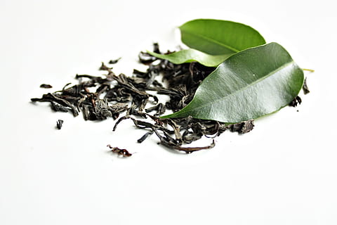 荷叶枸杞茶的功效